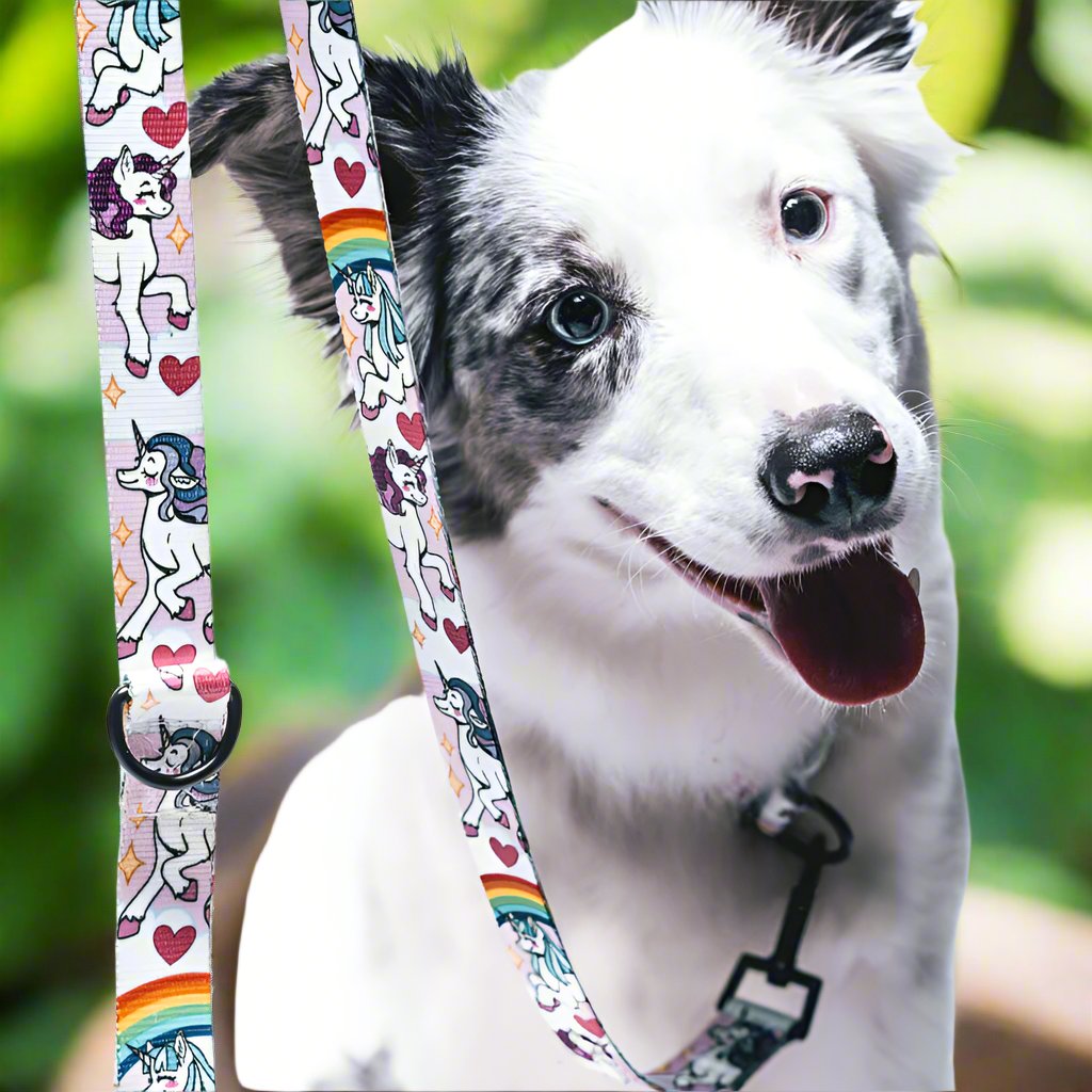 Smycz przepinana Merledog Unicorn (zdjęcie 2/2: detale)