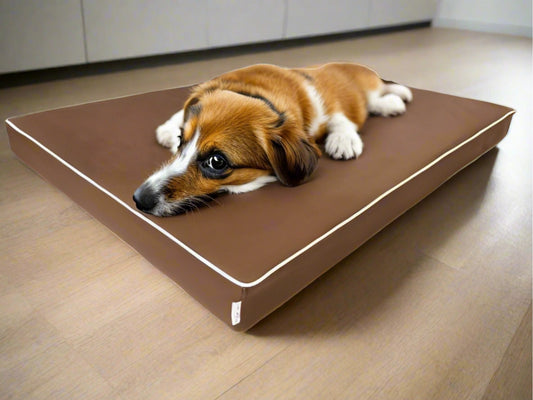 Materac Rosa 8 PU (2/22): Widok wodoodpornego legowiska dla psa.