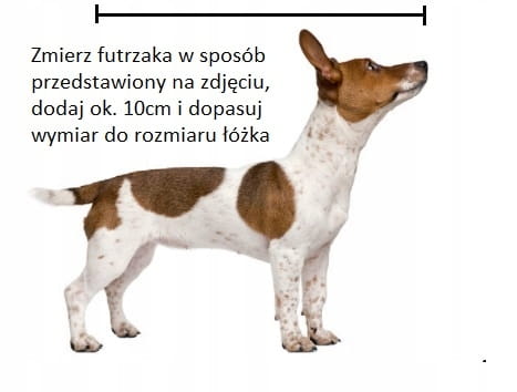 instrukcja mierzenia psa aby dopasować odpowiednie do niego legowisko