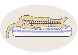wizualizacja działania pianki visco memory foam