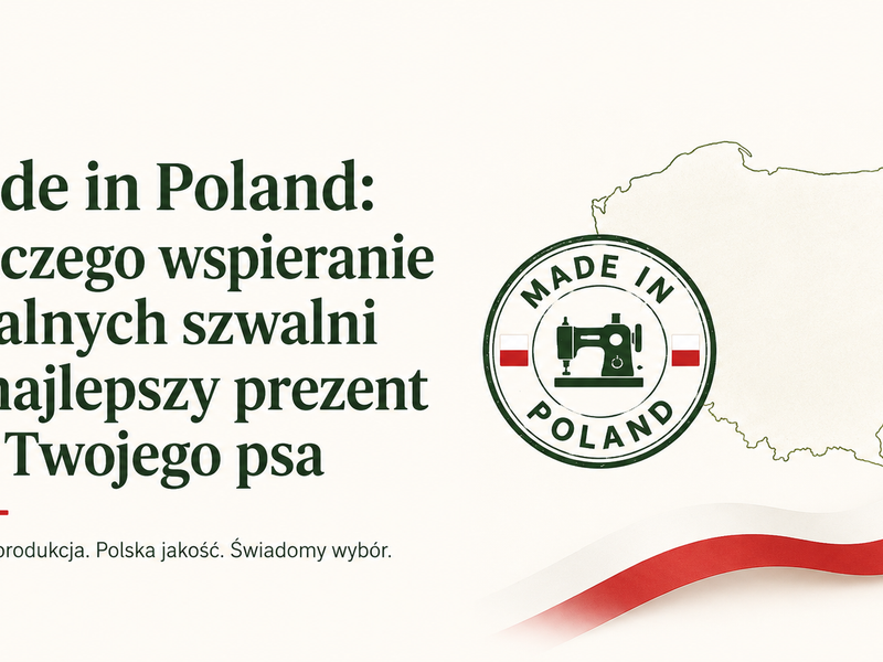 Made in Poland: Dlaczego wspieranie lokalnych szwalni to najlepszy prezent dla Twojego psa