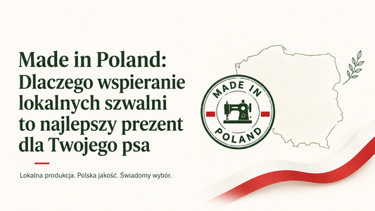Made in Poland: Dlaczego wspieranie lokalnych szwalni to najlepszy prezent dla Twojego psa