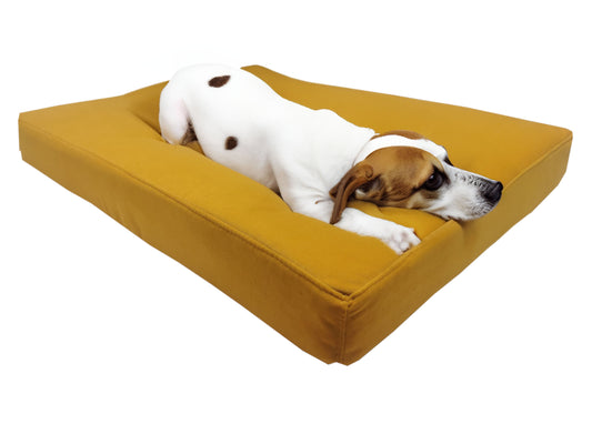 Pies na legowisku Afik z weluru w kolorze żółtym