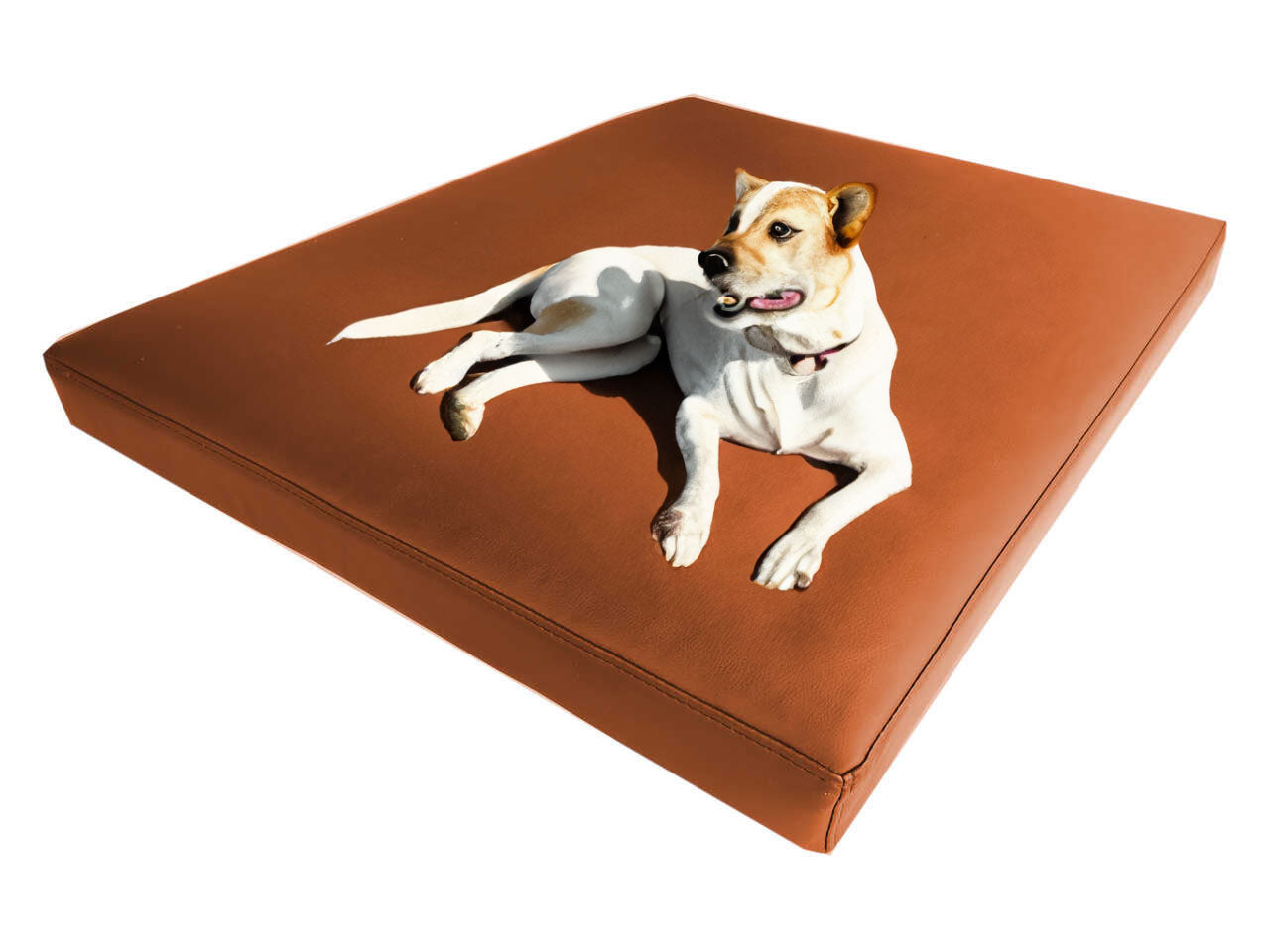 Afik Hundebett aus Öko-Leder Standard
