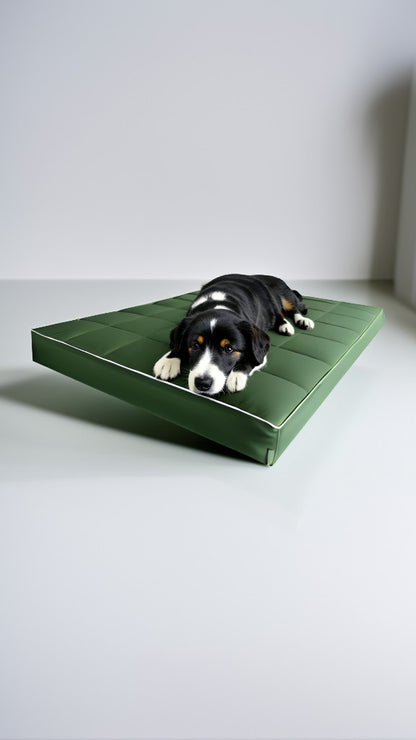 pies na zielonym legowisku dla psa mikola