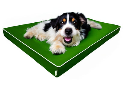 Pies na zielonym legowisku rosa 8 cm