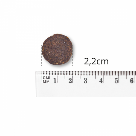 Karma sucha dla dużych psów z rybami bałtyckimi (2/2 - opakowanie).