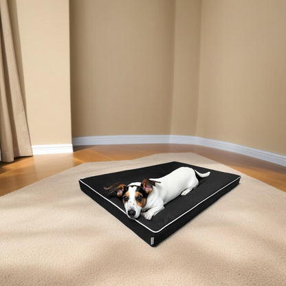 legowisko dla psa rosa 8 cm czarna w pokoju