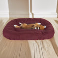 Charger l'image dans la visionneuse de la galerie, Lit pour chien Pontoon - Lit confortable Funitopets
