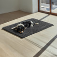 Charger l'image dans la visionneuse de la galerie, Tapis de voyage pour chien Molly
