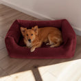 Charger l'image dans la visionneuse de la galerie, Wera Funitopets Lit - Velours, confortable, pour chiens
