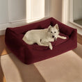 Charger l'image dans la visionneuse de la galerie, Wera Funitopets Lit - Velours, confortable, pour chiens
