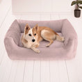 Charger l'image dans la visionneuse de la galerie, Wera Funitopets Lit - Velours, confortable, pour chiens
