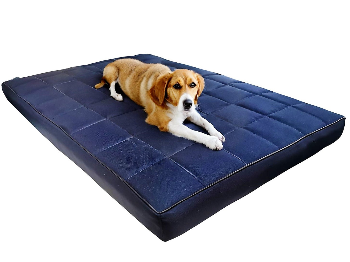 Matratzenbett für einen Hund Mikola - Wasserdichter Stoff (S-XL)
